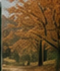 가을의 별숲 스테이 주변 숲 풍경