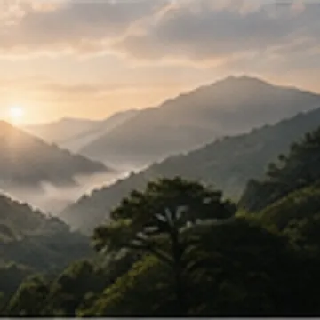 안개가 낮게 깔린 새벽 산봉우리와 소나무