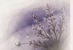 옅은 보랏빛 수채로 그린 라일락 가지