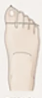 이집트형 발 모양 그림