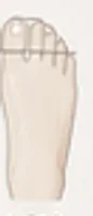 스퀘어형 발 모양 그림