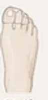 발볼 넓음 발 모양 그림