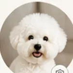 보리