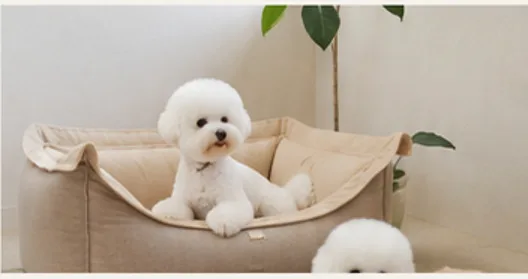 베드 위의 비숑 프리제