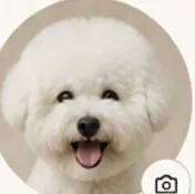 보리