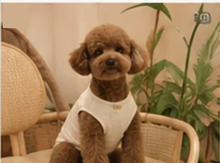 토리누나 님의 후기 사진