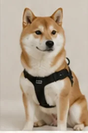 나이트 세이프 하네스
