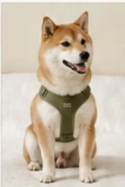 Y형 컴포트 하네스