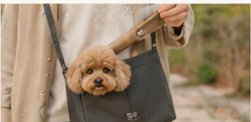 산책가방 똑똑하게 활용하는 방법